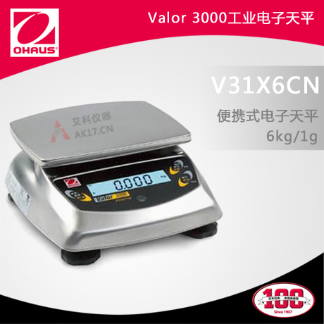 V31X6CN便攜式電子天平 6kg/1g（停產(chǎn)）